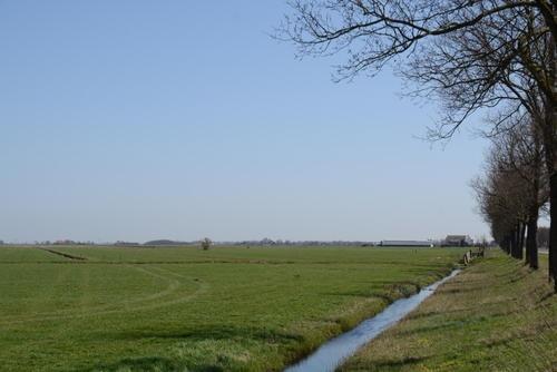 Polder De Twaalf voeten Tjerkgaast