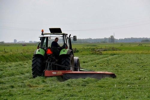 Eerste snede Frans Schotanus