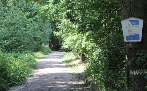 150803 Bossen toegankelijk