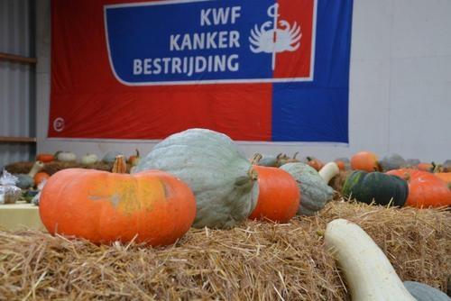 150915 Pompoenen en kalebassenmarkt Ouwsterhaule