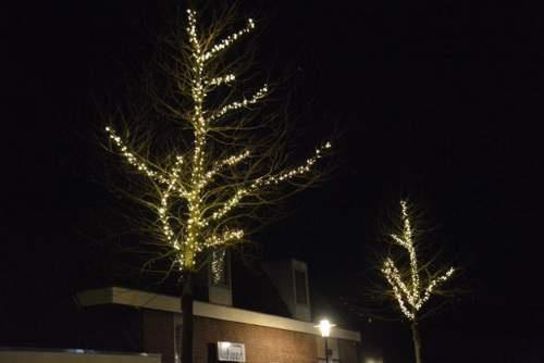 151218 Verlichte bomen Van der Leest