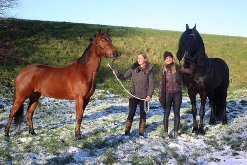 160121Paardenmeisjeshoofdfoto