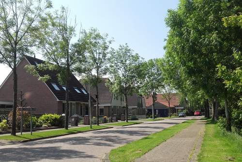 160701 Beschermde boom Hendrik Dijkstraleane