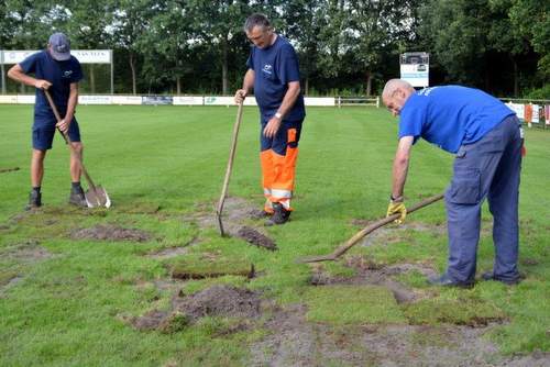 160819 Engerlingen emelten Renado veld vernieuwen