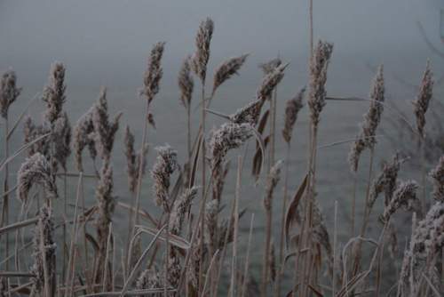 161205 Winterspeldenprikje