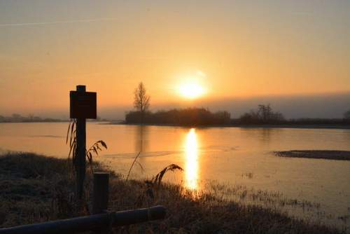 161205 Winterspeldenprikje Groot