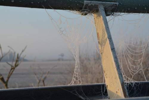 161205 Winterspeldenprikje variant spinnenweb