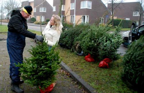 161223 Kerstbomenverkoop scharsterbrug