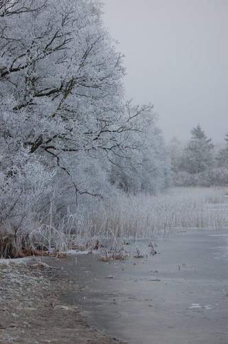 170118 Winterfoto Ilse Visser 2