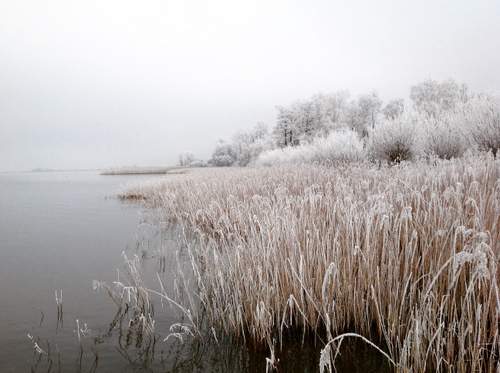 170118 Winterfoto Silvia Leenstra