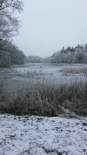 170118 Winterfoto TM van der Kamp 2