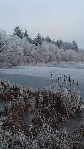 170118 Winterfoto Wolrieke Boelens 2