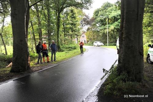 17090652 Haulsterweg schade aan beuk