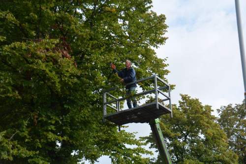 170906 Laatste snoei en schoffelwerk zagen