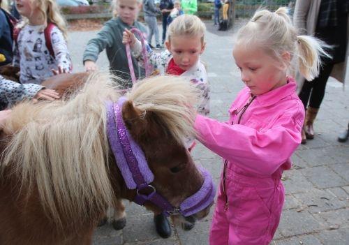 dierendag klimmerbled 18