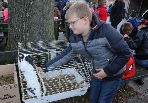 dierendag klimmerbled 2