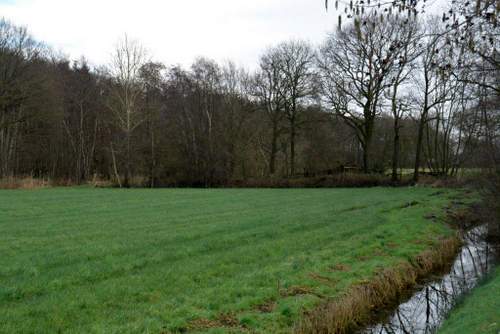 1801112 Landschapsherstel Sint Nyk elzensingel