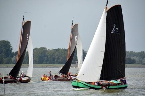 180815 Skutsjesilen Lemmer baai