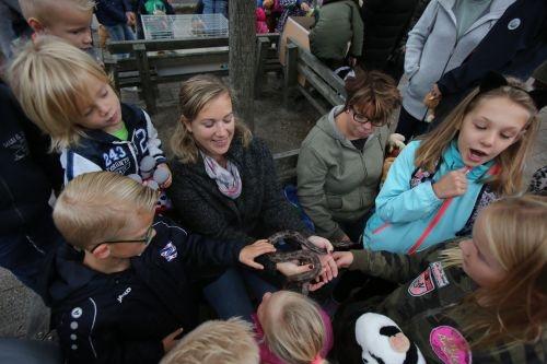 dierendag klimmerbled 2018 21