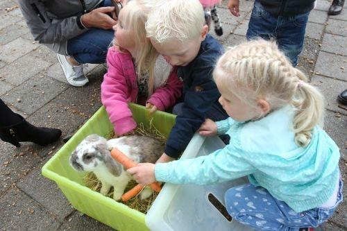 dierendag klimmerbled 2018 32