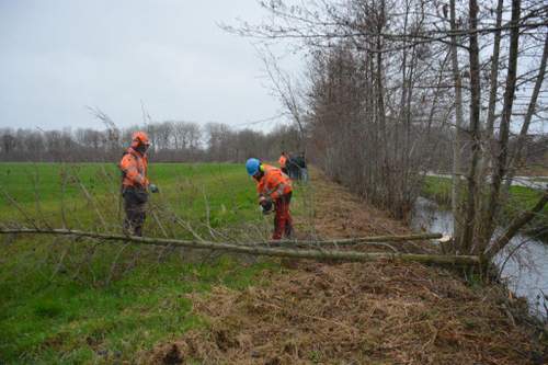 190314 Landschapsbeheer Sint Nyk