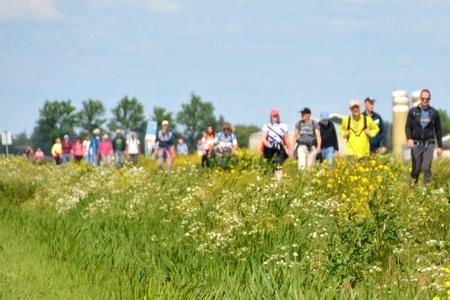 190529 Elfstedenwandelaars Tjerkgaast