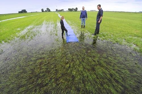 190715 Miedema Tjerkgaast Wollegaast land muizen