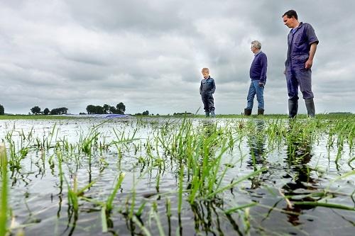 190715 Miedema Tjerkgaast land onder water