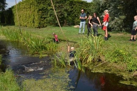 190831 Survival Ouwstertrijegeaen