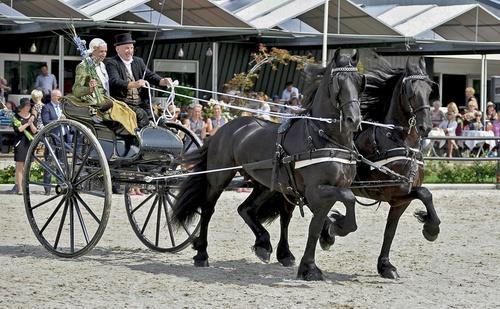 TW Frits de Jong met Unicum en Jannes Rijs 20150801 DSC 6182