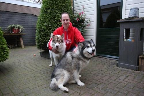 Husky Rinus en odin