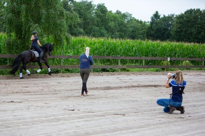 foto paarden christina