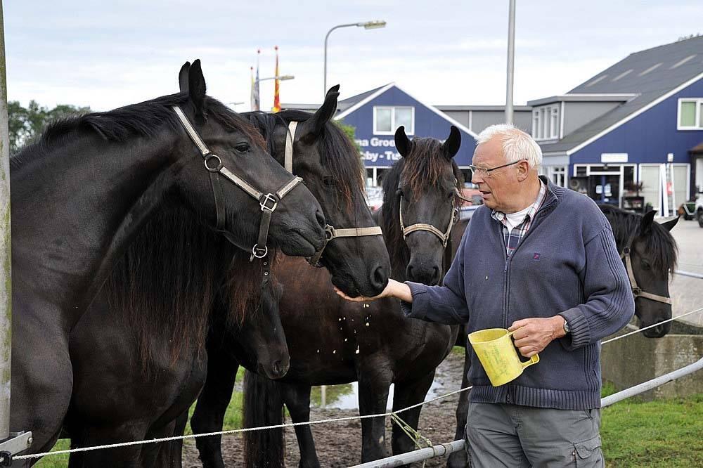 Jan Bosma uit Sint Nicolaasga met zijn Friese paarden. Op de achtergrond de AgriShop en de werkplaats van Bosma Melkveetechniek.