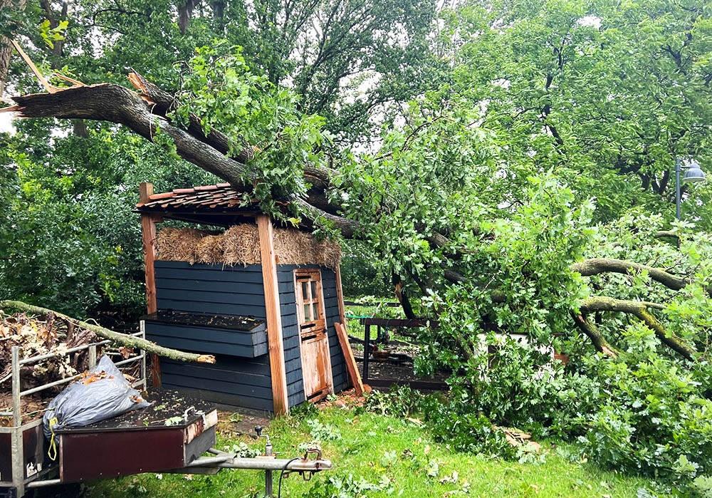 230705 SIntNyk storm kippenhok JanAltenburg