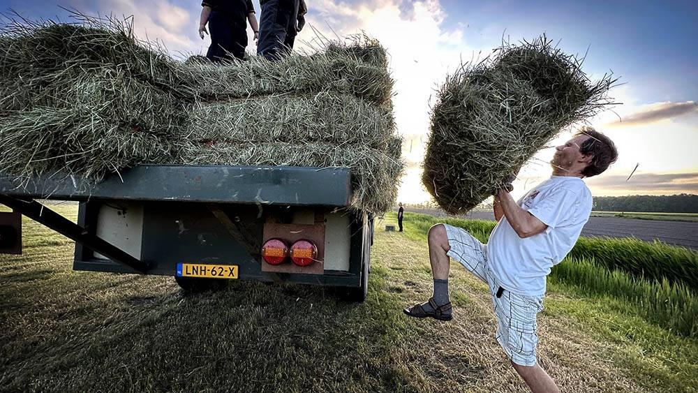 230701 Tjerkgaast hooi oogst 1 1000