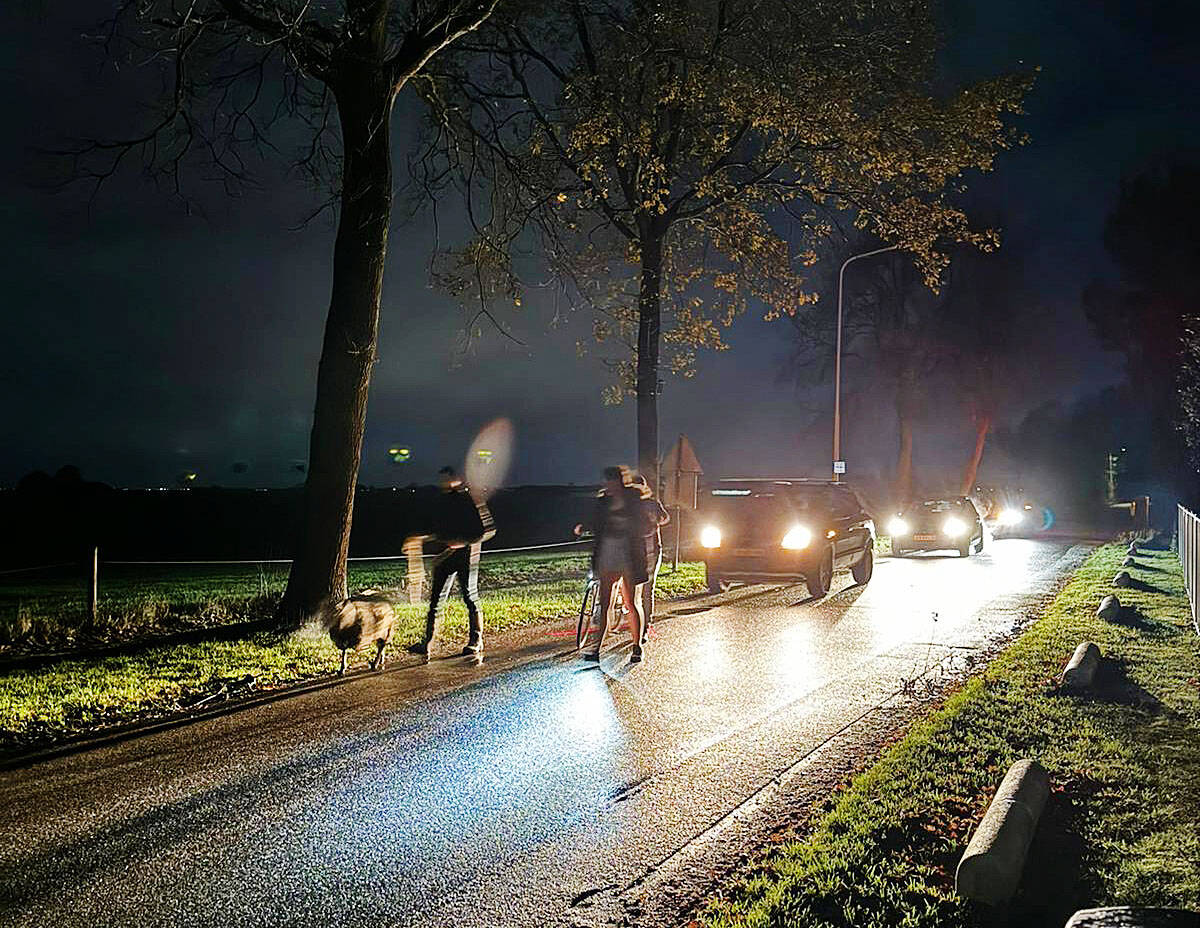 231125 Legemeer schapen op drift door hond liggend