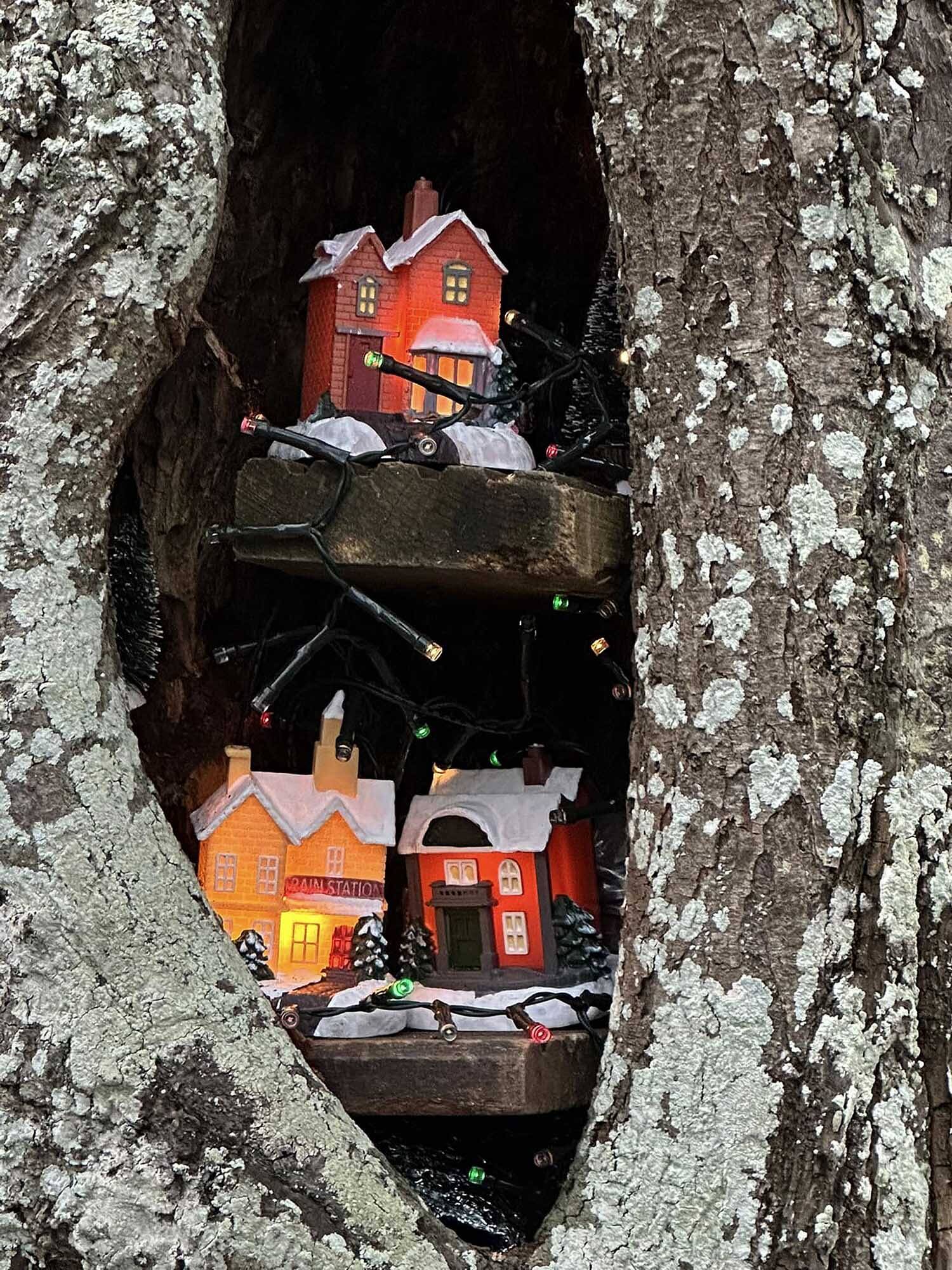 241213 Langweer verlichtebomen2 c JohanHielkema