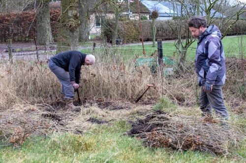 11022022 bomen lammert homma