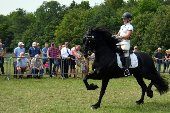 Tuigmiddag de oorsprong 2018 52