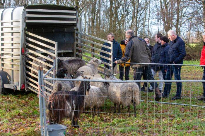 2022 KERSTWANDELING 65