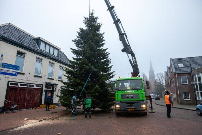 kerstboom 2022 12