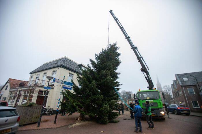 kerstboom 2022 13