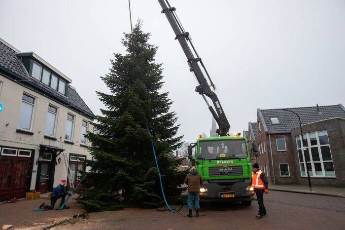 kerstboom 2022 8