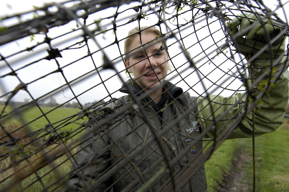 De enige vrouwelijke muskusrattenvanger in Friesland, Fenna Reekers uit Langweer, controleert haar vangkooi voordat ze 'm in de winterberging doet. In haar werkgebied rond Akkrum vangt ze geen ratten meer. Dat is wel het geval rond het laagveenmoeras De Deelen. Daar laat ze de vangkooien net zo lang staan totdat de winter invalt. Dan gaat ze op zoek naar de ratten en zet ze vallen. De 23-jarige Reekers vangt zelf zo'n vierhonderd ratten per jaar. Friesland telt zestig vangers. Vorig jaar zijn er negen nieuwe mensen bij gegekomen. Met dat aantal kan de populatie heel behoorlijk in toom worden gehouden, vertelt Reekers. Op de foto is ze aan het werk op het land van veehouder Jentsje Greijdanus in Akkrum. De vangkooi zet ze tijdens de winterperiode naast de dampaal bovend de duiker waar ie 's zomers dienst doet.