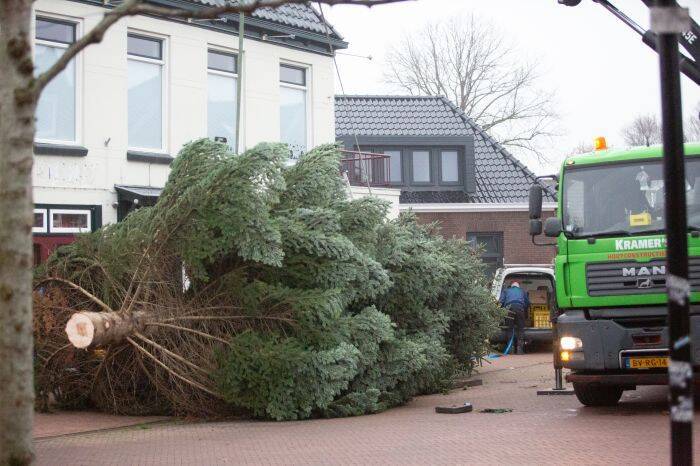 kerstboom-2022-3.jpg