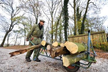 Sluiting wandelpad Wilheminabos 'een blamage'