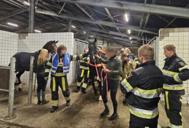 Koetakel brandweer Sint Nyk brengt redding voor uitgeput paard