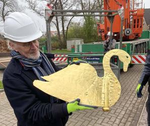 Zwanen van Langweer op expo over zwanendrift